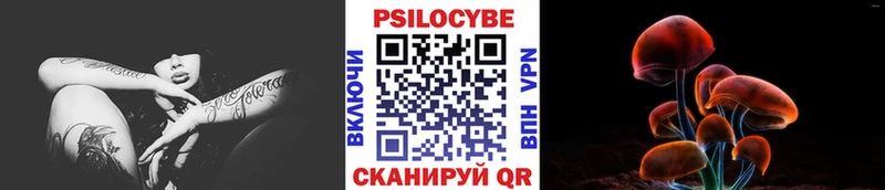 omg вход  Микунь  Галлюциногенные грибы мицелий 